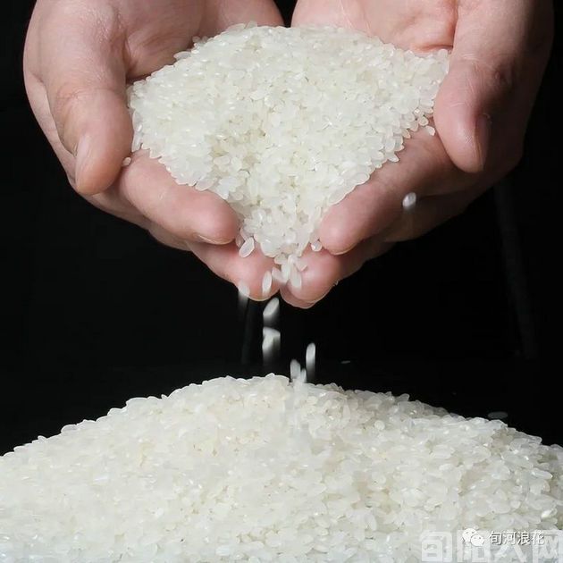 干 婆 文/赵攀强(图2) 陕南02.jpg