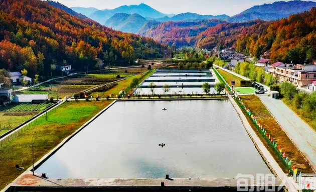 青树扶贫组诗 文/刘承印(图1) 图片.png