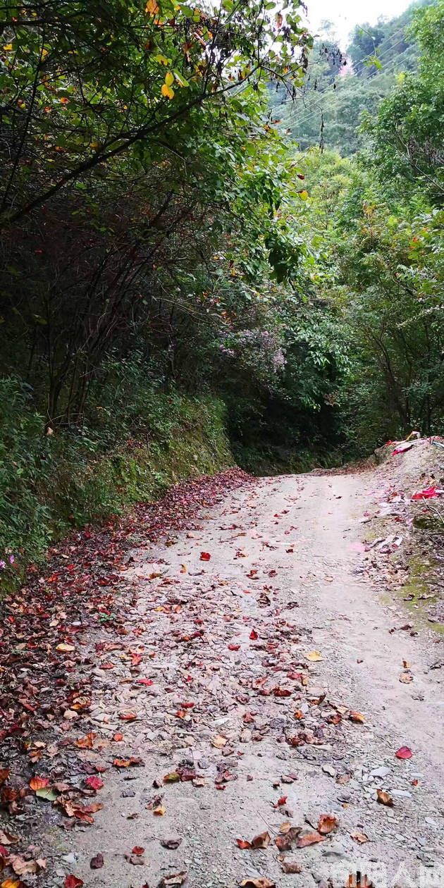 走路 文/李虎山(图2) 路02.jpg