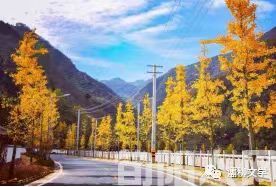 栗乡冬景 文/刘承印(图1) 微信图片_20231105195507.jpg