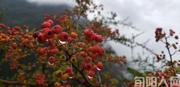 太极城美景 (诗两首) 文/张志琴(图1) 景色.jpg
