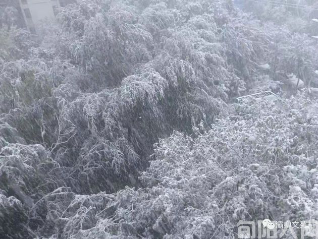 雪中静思 文/初心(图1) 初心的图片.jpg