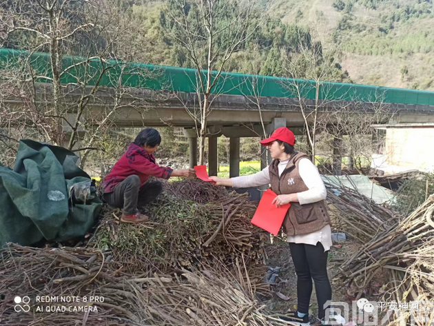 陕西旬阳市神河镇:多举措筑牢森林防火“安全墙”(图3) 神河镇3.png