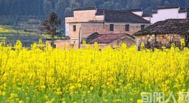 婺源思溪延村 文/石岩磊(图2) 泗溪2.jpg