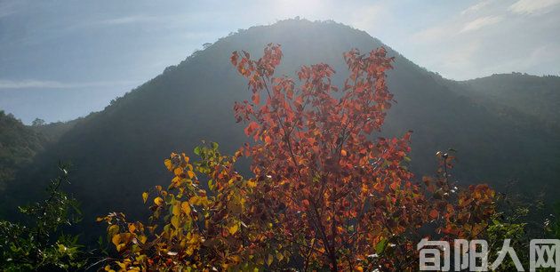 秋天小样 文/郭明祥(图1) 秋.jpg
