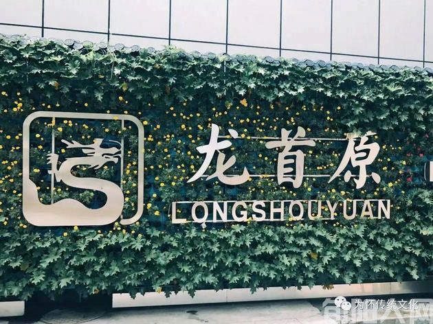 为什么住在龙首塬 文/李虎山(图1) 龙首塬00.jpg