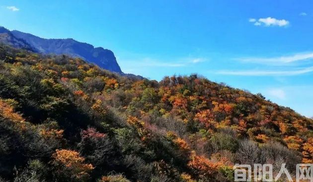 遇上好领导,是人生的福气 文/赵攀强(图1) 赵.jpg