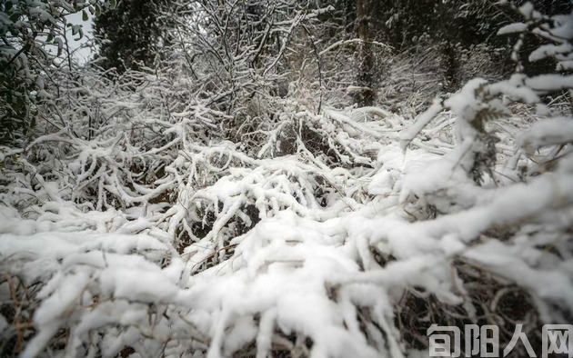 咏景三首 文/刘承印(图1) 雪.jpg