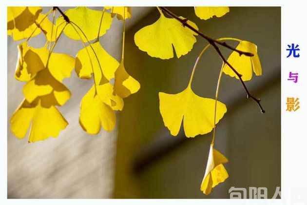 人生如月 文/刘承印(图1) 插图1.jpg