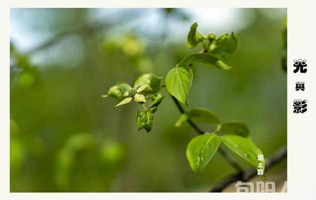 人生如月 文/刘承印(图2) 插图2.jpg