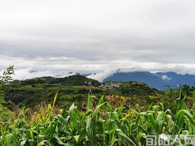 老包过上好日子 文/赵攀强(图1) 龚家庄.jpg
