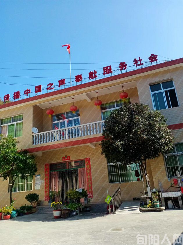 十里庙旁五指柏 文/冉平(图3) 黄.jpg