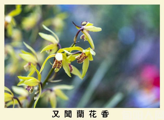 赏:《荷竹梅》 文/棕杰(图2) 微信图片_20231209183854.jpg