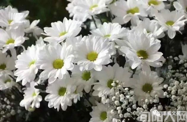 想您,执笔写不尽的思念 文/郝晓东(图2) 郝晓东2.jpg