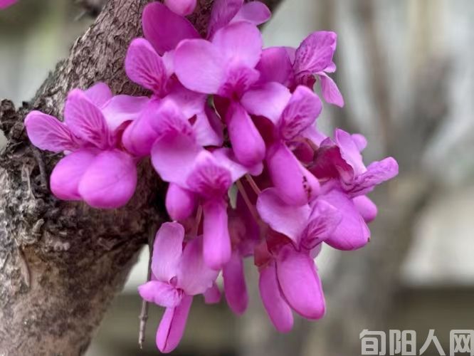 人生感悟二首 文/刘承印(图1) 001.jpg