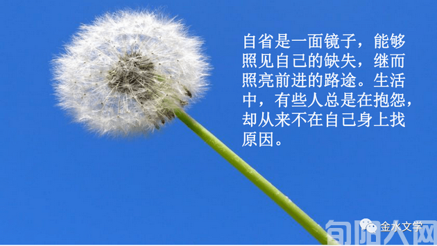 自省是一面镜 文/訥言(图1) 自省.png