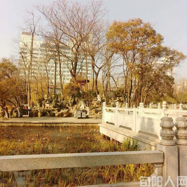 冬逢莲湖公园 文/郭明祥 《原创不易,抄袭必究》(图4) 莲湖公园5.jpg