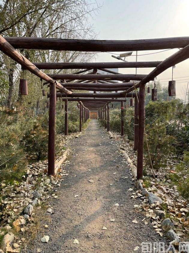 乡镇干部的一日            文/谷去皮