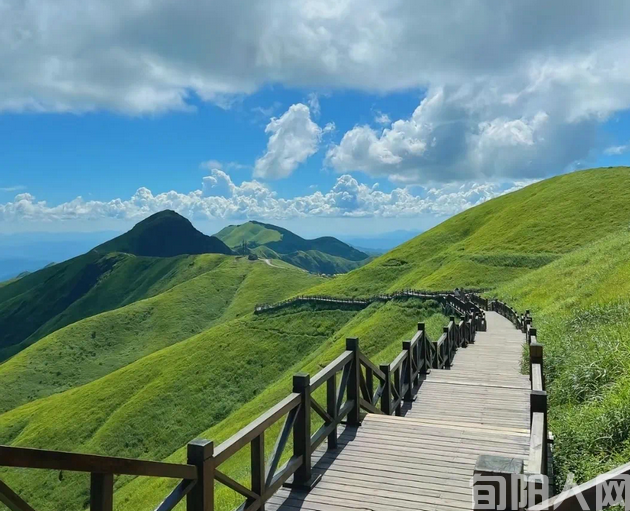 唱响汉江 文/张志琴(图1) 风景插图.png