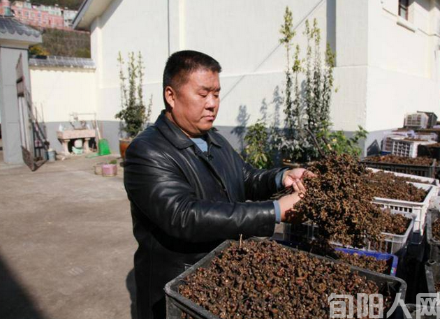 戍边卫国保边疆，老山前线立战功，退伍军人南君涛，回乡创业立潮头         文/华军