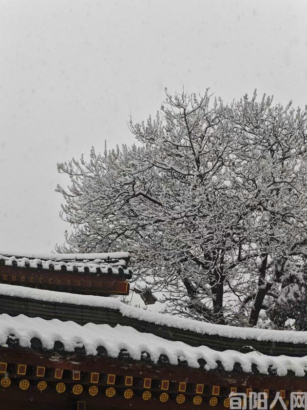 题商山雪景 文/李向宝(图1) 微信图片_20240117095959.jpg