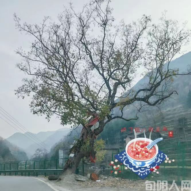 腊八节(图1) 微信图片_20240118105737.jpg