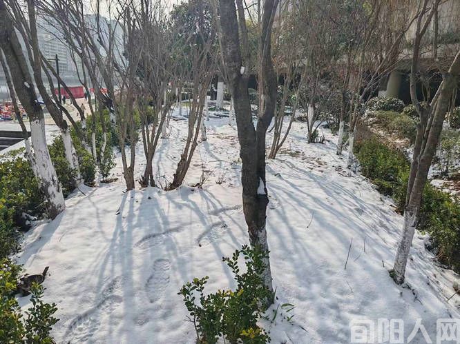 春雪 文/刘家胜(图1) 微信图片_20240224170005.jpg