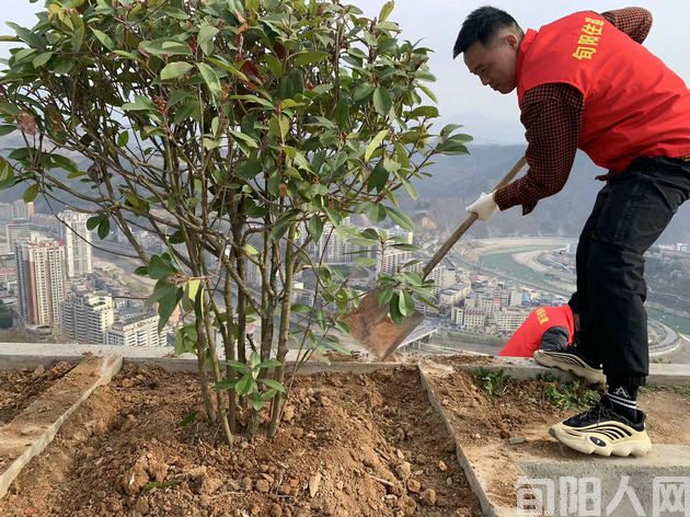 陕西旬阳市住建局:“提服务、谋福利”为当地发展打造绿色生态图案(图2) 002.jpg