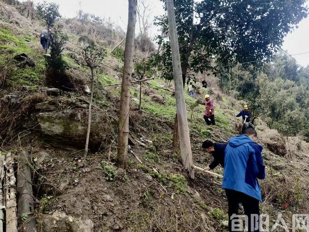 陕西旬阳市住建局:“提服务、谋福利”为当地发展打造绿色生态图案(图3) 003老城水磨湾整地.jpg