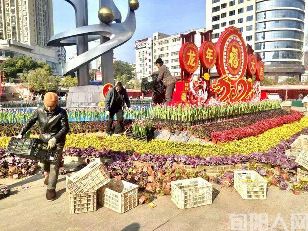 陕西旬阳市住建局:“提服务、谋福利”为当地发展打造绿色生态图案(图4) 004祝尔康广场绿化.jpg