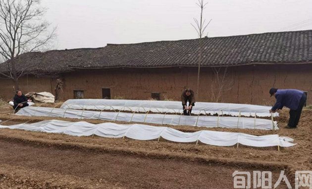 陕西省旬阳市石门镇:田间地头春耕忙(图2) 石门2.jpg