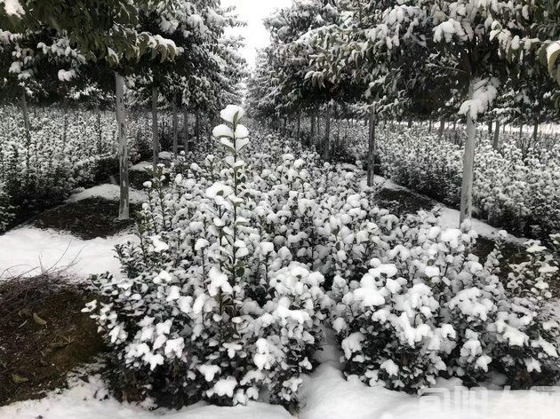 黑娃(连载)(四)一锅好饭 文/闰土(图1) 微信图片_20240117101538.jpg