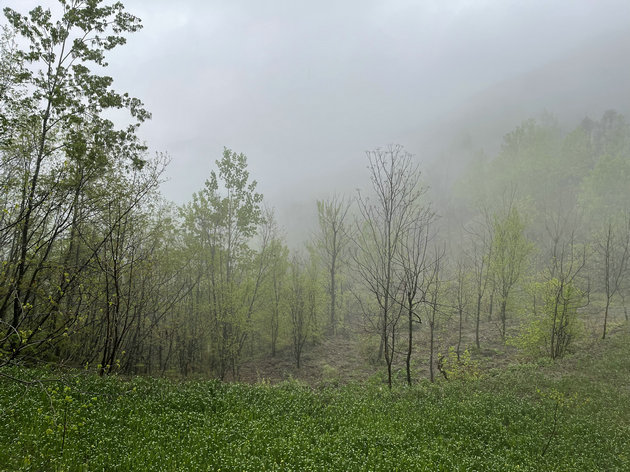 原创诗词【清明节组诗】(图1) 清明.jpg