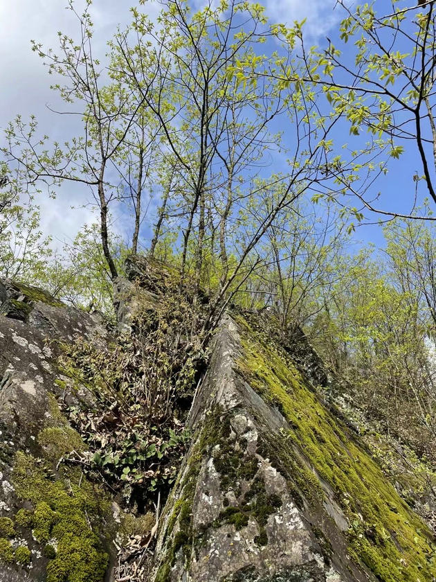 回故乡 文/刘家胜(图1) 山间小路.jpg