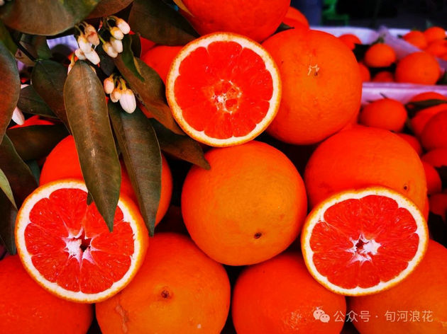 清明奉节行 文/赵攀强(图6) 奉节6.jpg