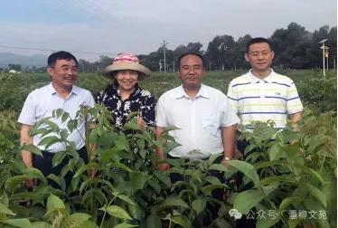 “核桃王”的精彩人生 ——记中国老科协奖获得者、商洛市老科教协会副会长、核桃专家王根宪 文/ 张 涛(图3) 图片3.jpg