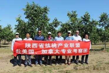 “核桃王”的精彩人生 ——记中国老科协奖获得者、商洛市老科教协会副会长、核桃专家王根宪 文/ 张 涛(图5) 图片5.jpg