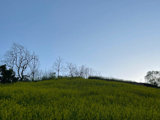 1970年 科学种田的春天 文/李虎山(图1) 农村.jpg