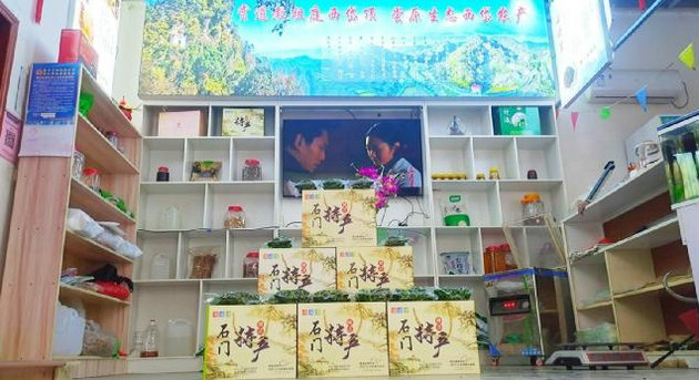 陕西安康旬阳市石门镇:助农增收,野生石蜡菜变“宝”(图4) 4.jpg