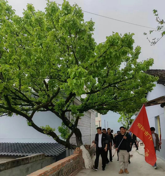 岭南晏坪村 文/程根子(图3) 晏坪村5.jpg