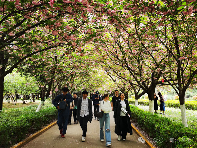 漫步交大校园 文/赵攀强(图4) 交大4.jpg