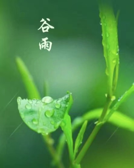 谷雨(诗二首) 文/李明清(图1) 谷雨.jpg