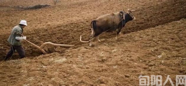 垦荒 文/程根子(图1) 开垦2.jpg