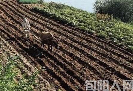 垦荒 文/程根子(图2) 开垦.jpg