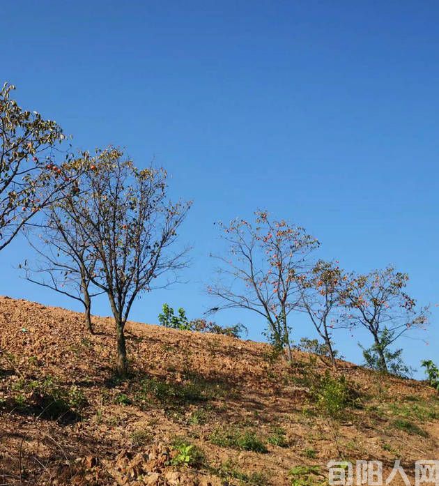 垦荒 文/程根子(图4) 开垦5.jpg