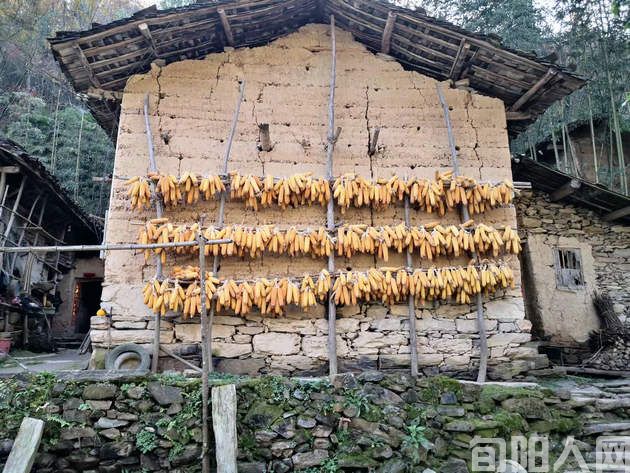 垦荒 文/程根子(图3) 开垦4.jpg