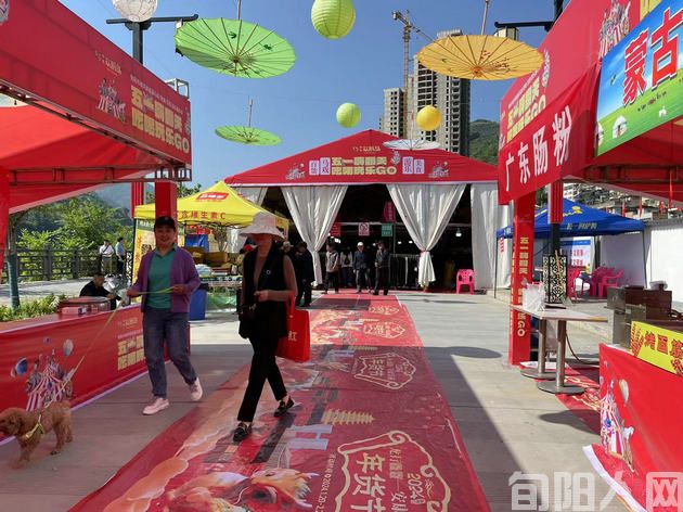 “五一”假期不打烊,来旬阳城关镇太极岛“嗨翻天”(图7) 44.jpg