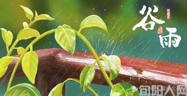 谷雨时节 文/张利平(图1) 谷雨.jpg
