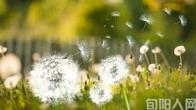 五一节随笔四首(文/刘承印)(图2) 备用插图5.jpg