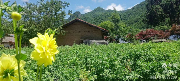 大坝沟,张良庙的后花园 文/郭明祥 (图3) 情人谷.jpg